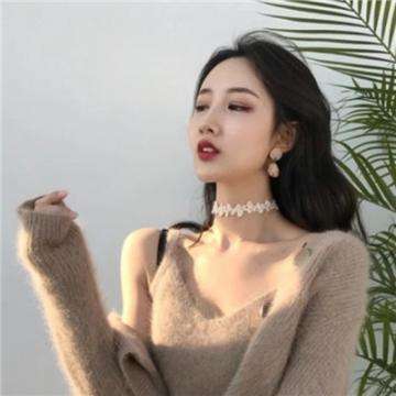 夜行人生追捕破解版下载